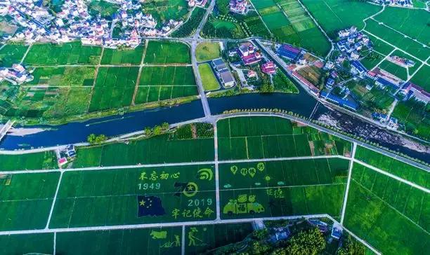 震撼!钱塘江畔出现巨型画作,有28个足球场这么大!