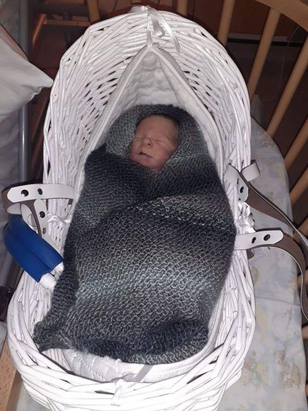 人鱼宝宝的降生,人鱼宝宝长大后图片