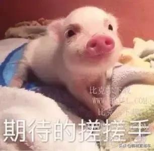 粤b摇号显示申请已取消,粤b怎样重新申请摇号