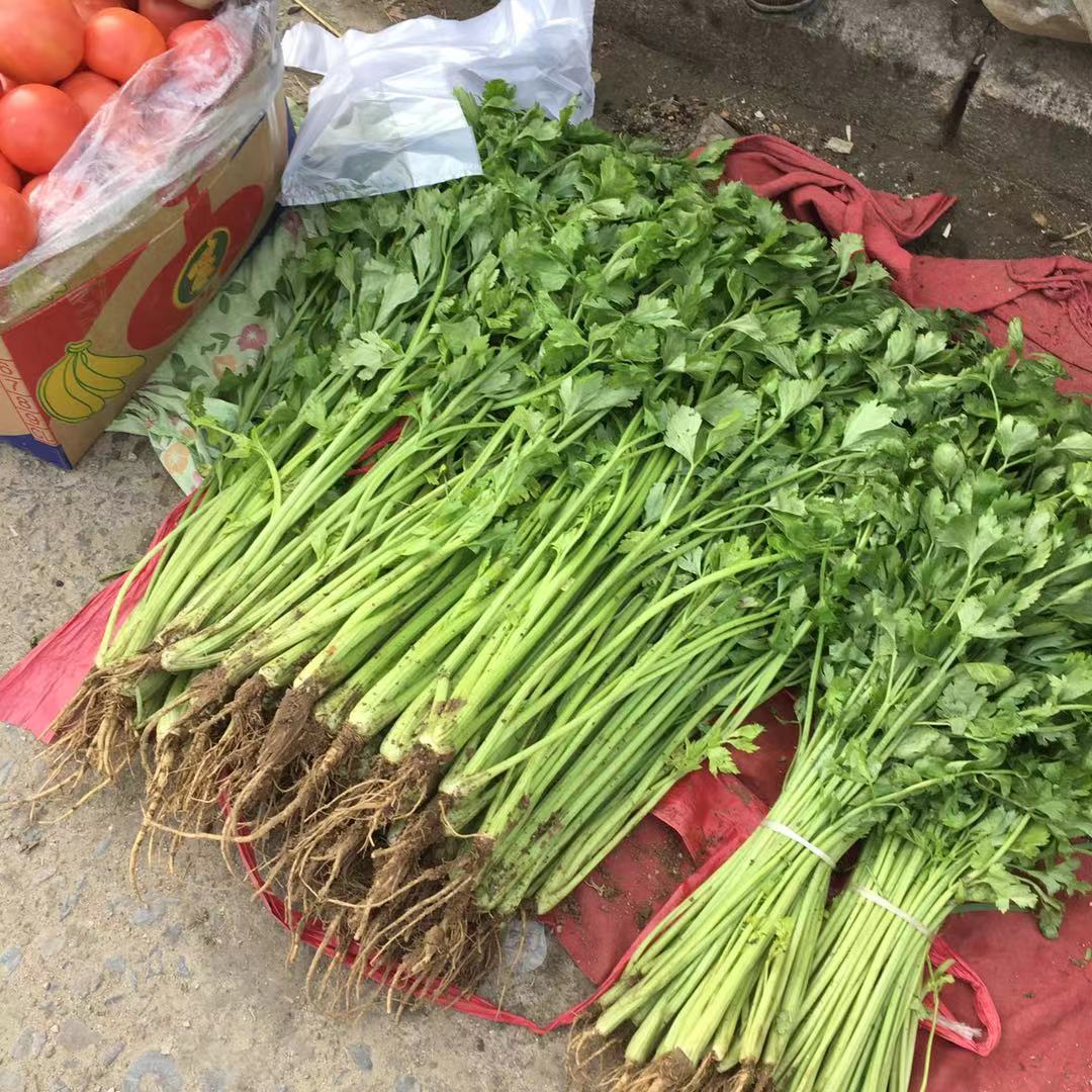 青菜卖1000可以赚多少,市场卖青菜一年赚多少钱