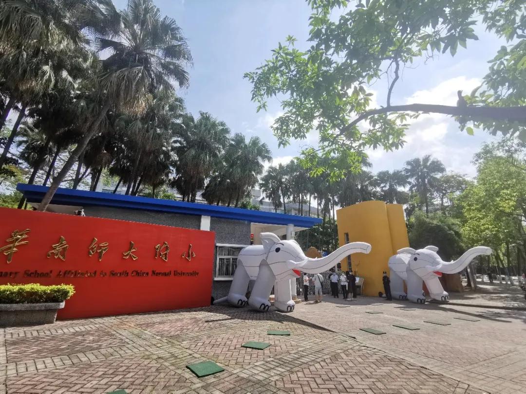 直升广州中学够不够?华阳、龙口西、华康小学小升初出路分析