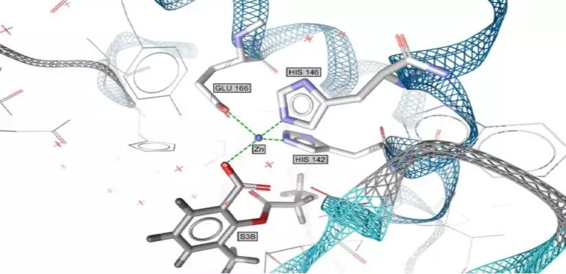 受体配体互作,典型受体配体有哪些类型