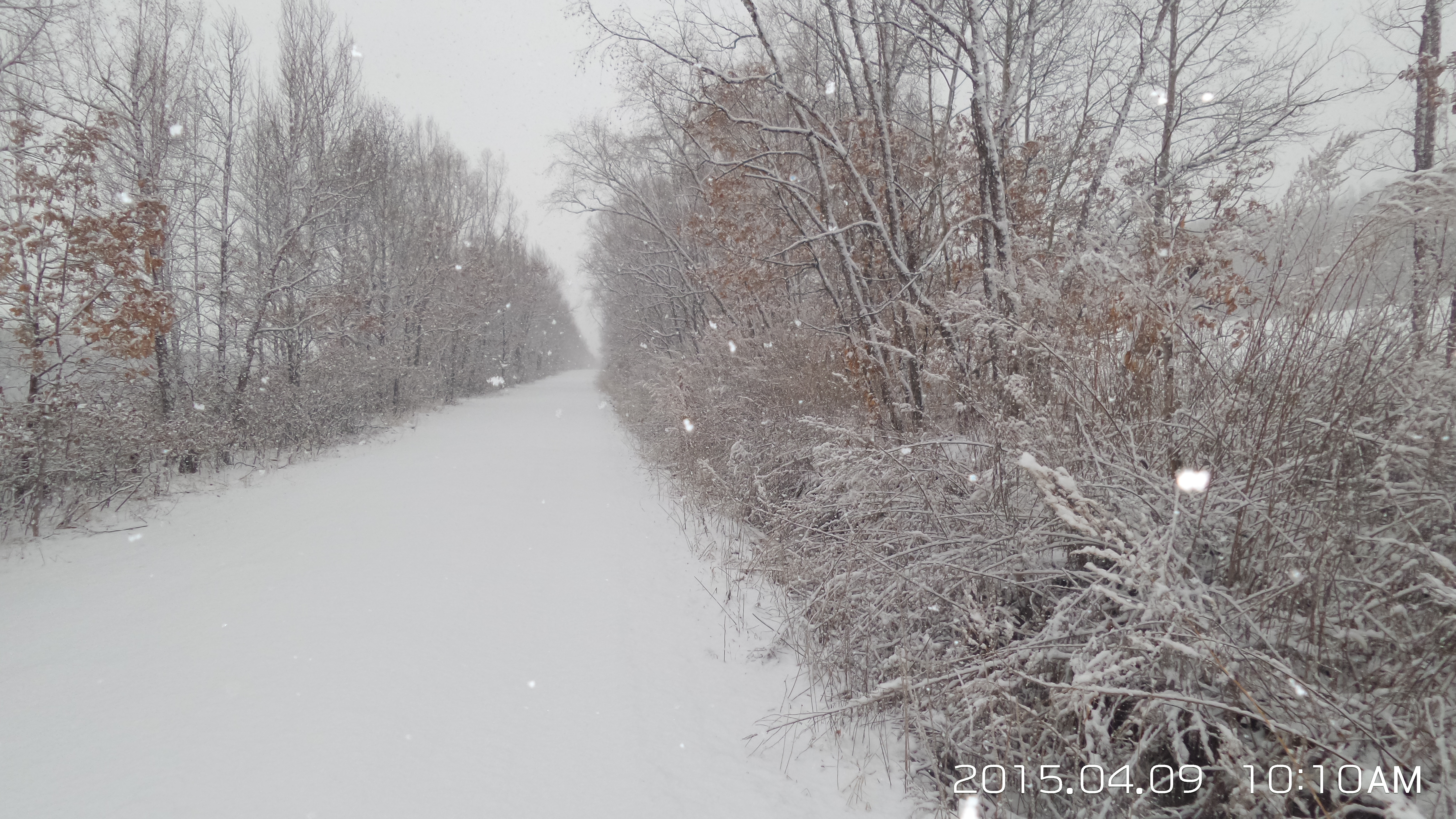 大山里的苦日子视频,你见过最苦的生活是什么样的