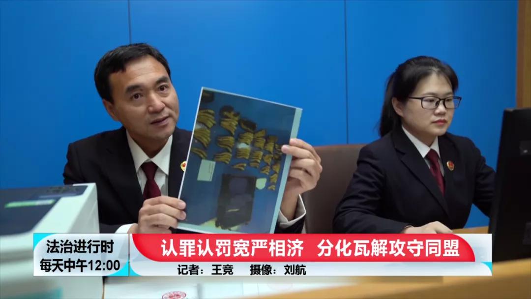 【BTV-我是检察官】认罪认罚背后的故事④：犯罪团伙*私走**高鼻羚羊角303根，价值606万元