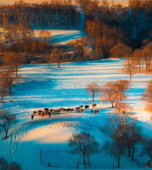 冬日的坝美有多美,冬日的坝上草原