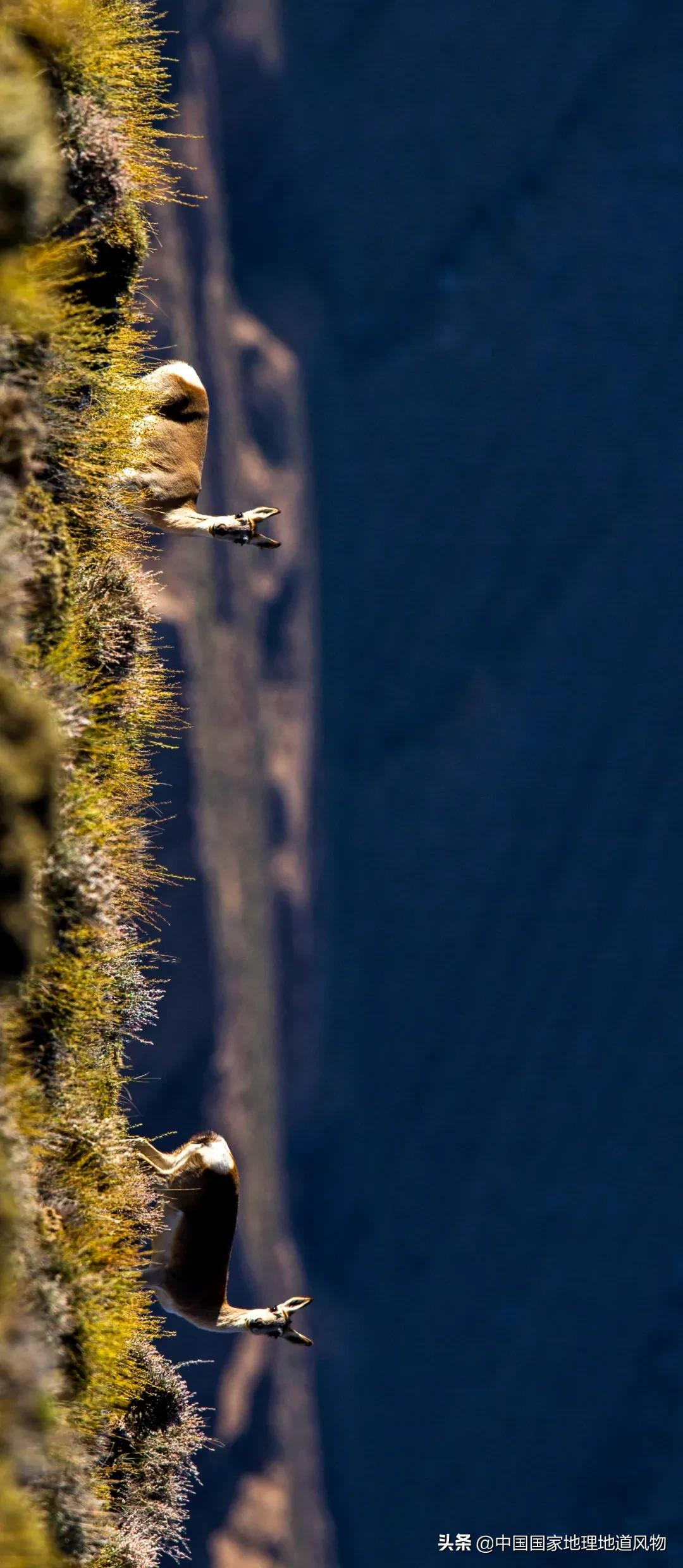 中国五大国家公园,中国十大私藏国家公园