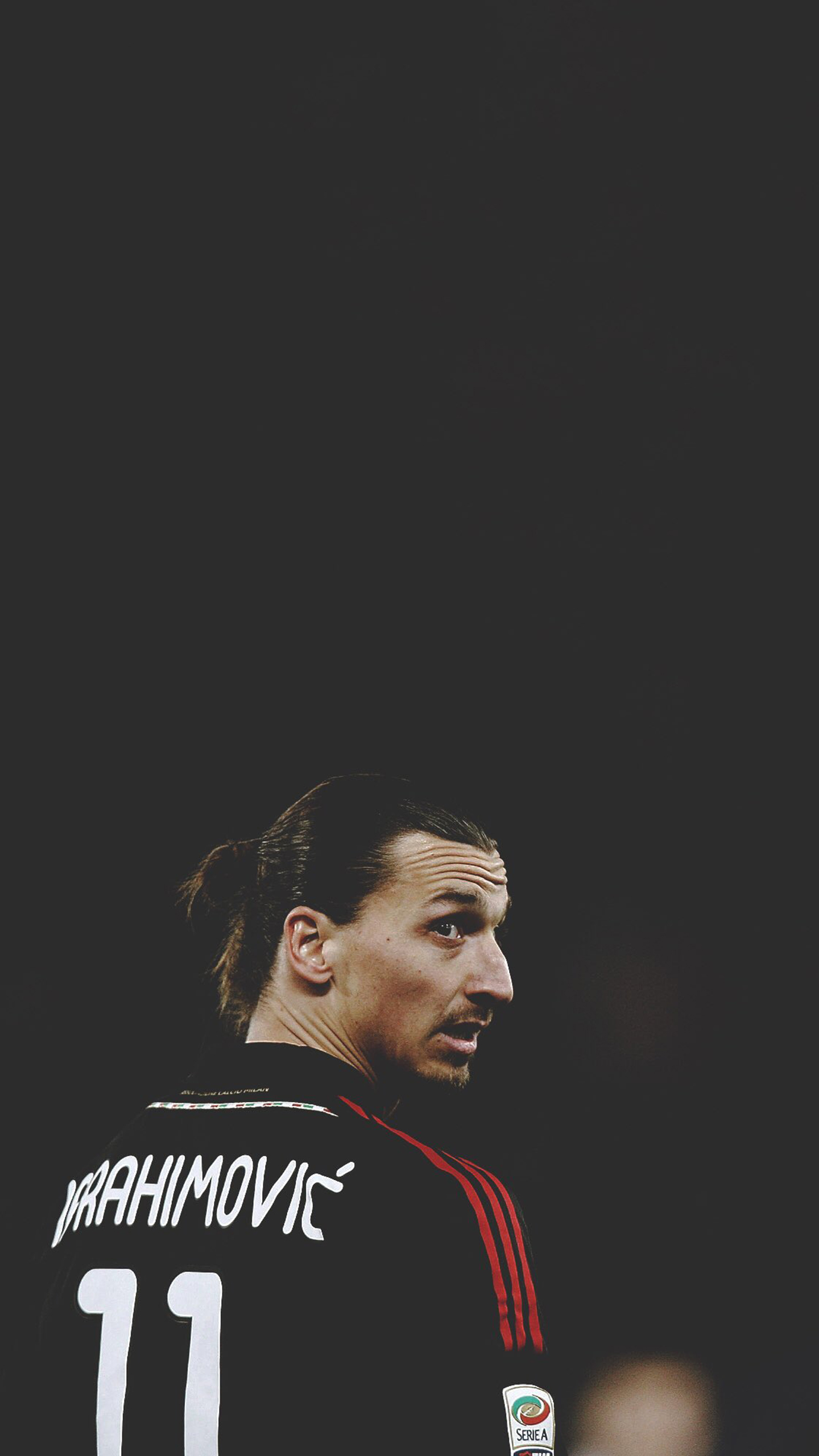 伊布进化型壁纸,伊布米兰霸气壁纸