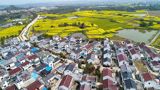 细数南京老地名的前世今生,南京市是著名的什么古都