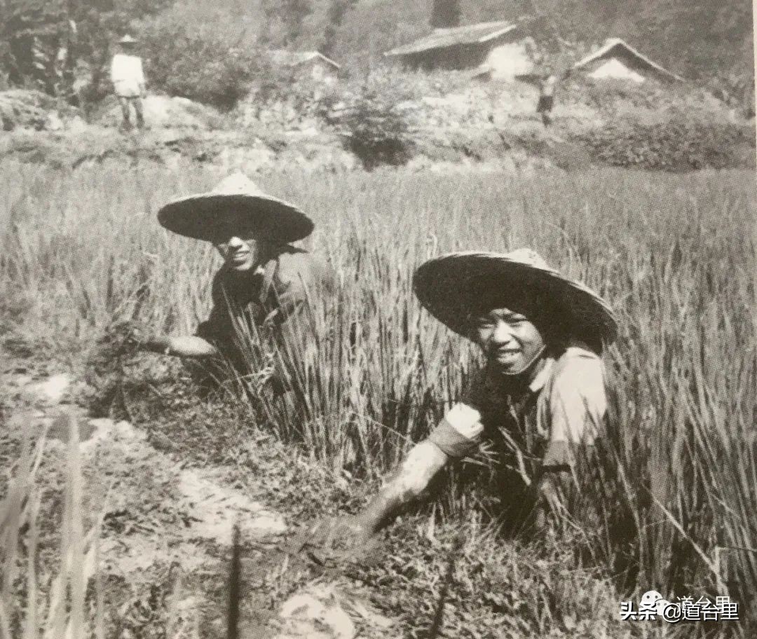 洪家楼老照片,洪家楼旧照