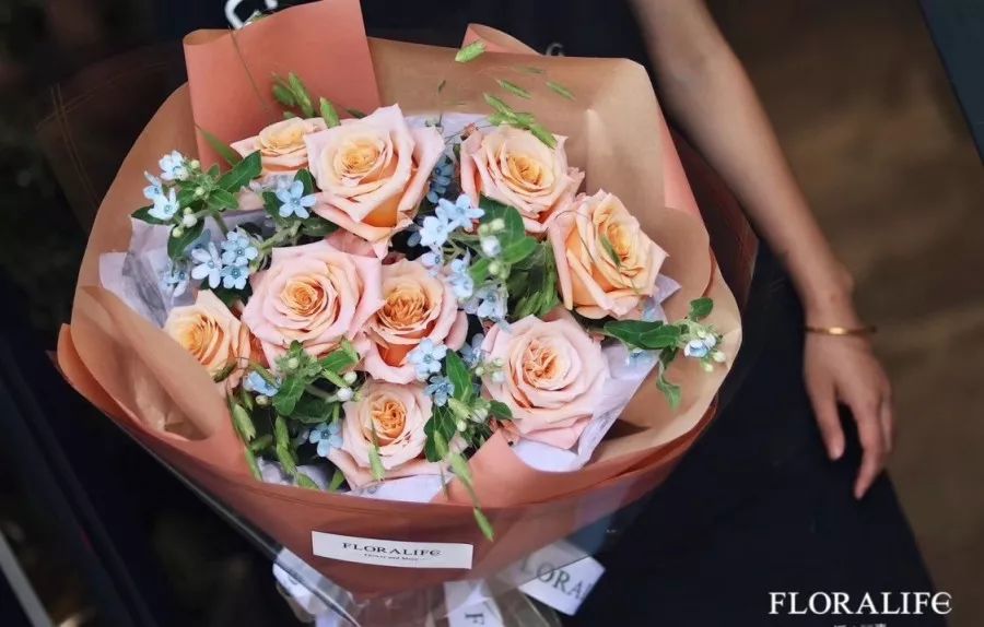 热销玫瑰,顶级进口玫瑰