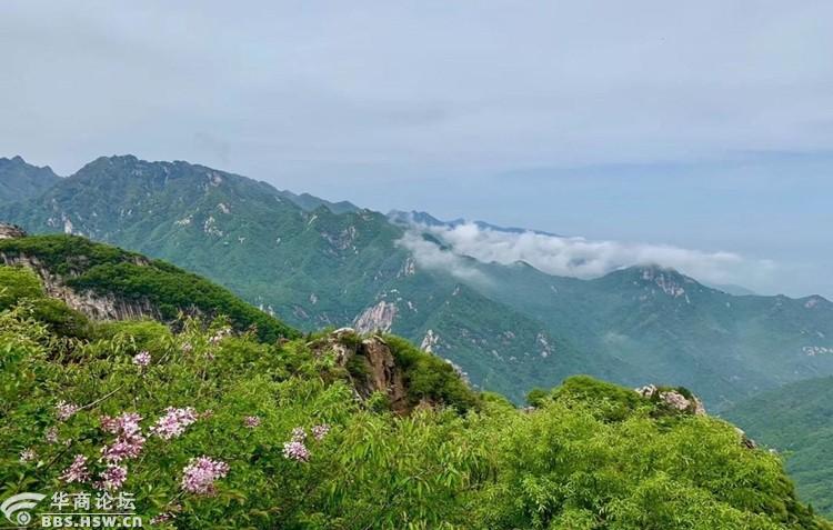 嘉午台旅游攻略一日游最佳路线,秦岭小华山嘉午台攻略