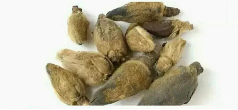 48款香料的解析与认知,四十八香谱图解大全