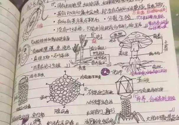 老师备课的技巧和方法,新老师不会上课怎么办