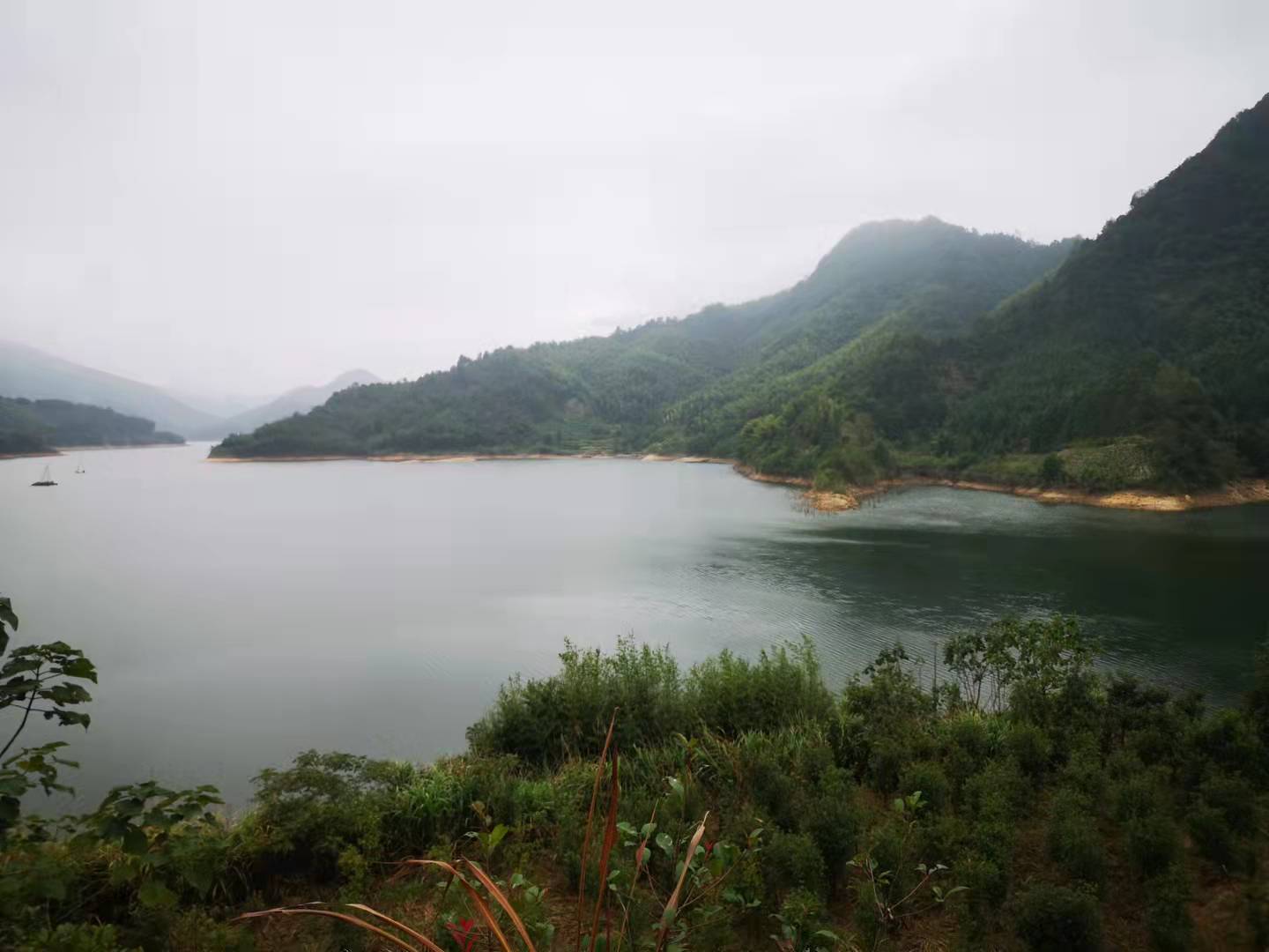 在九华山摔了一跤,在九华山摔倒