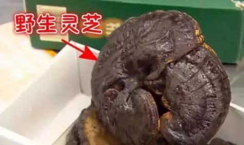 出国被海关劝退护照签证还能用吗,出国被海关劝返签证还能用吗