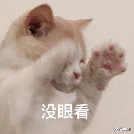 我的天!爱马仕居然出口红了,是真丑还是真香?