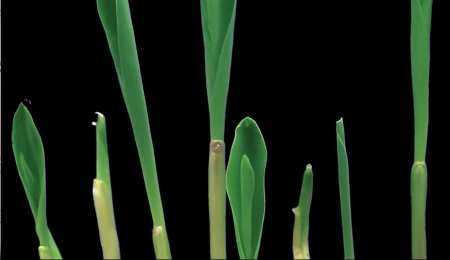 广特播报栏目,广特播报上海