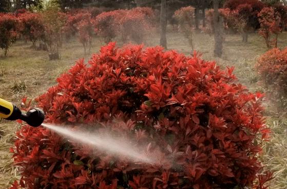 小米车载洗车机,小米有品洗车机多少钱