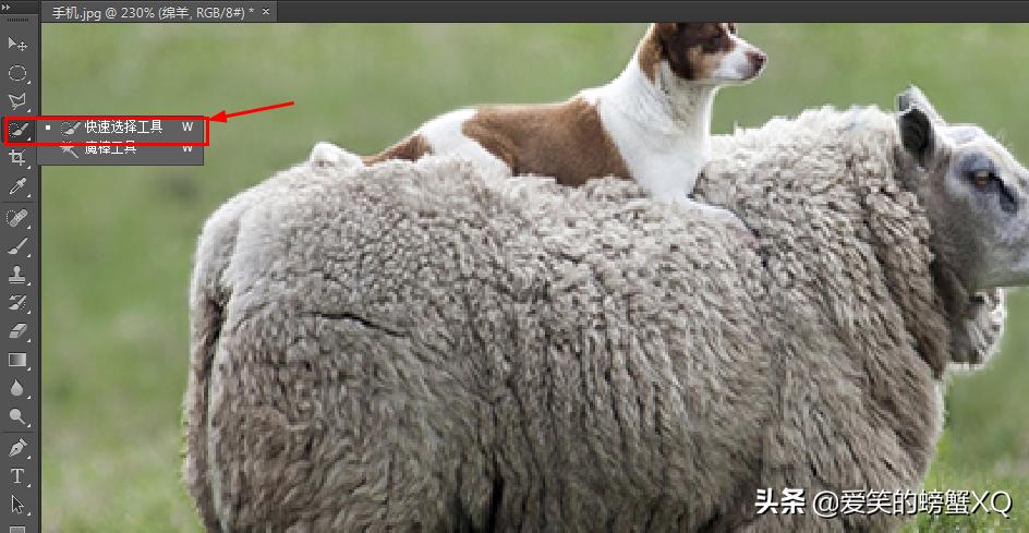 如何简单完整的做一张ps图,ps怎么制作图片详细步骤