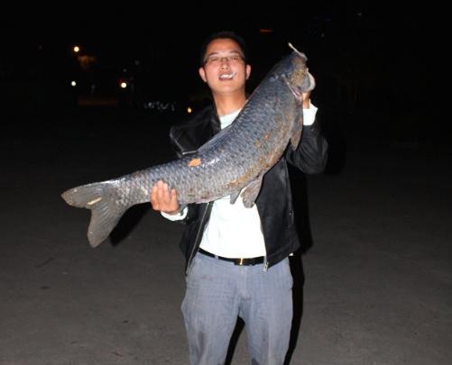 千岛湖出174斤的大鱼,千岛湖大泄洪真实视频