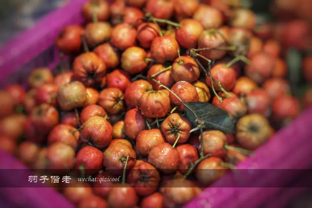 从英迪格出发,跟随“邻”感大使深入厦门玩味毗邻