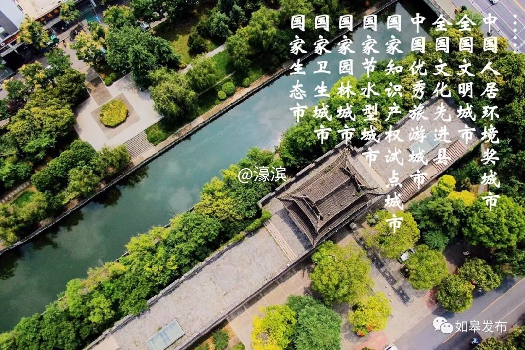 什么是如皋蝶尾,如皋的特点