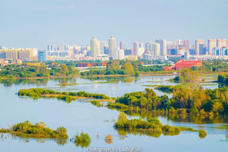 哈尔滨11月吃喝玩乐攻略,今夏哈尔滨旅游全攻略