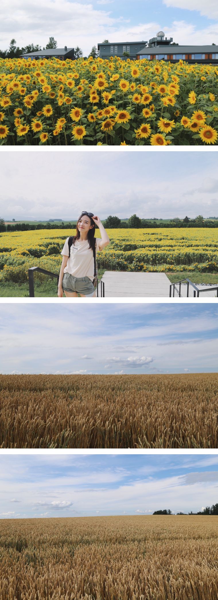 北海道七月的样子,北海道7月
