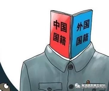 外籍华人签证最新政策,移民签证出境政策最新版