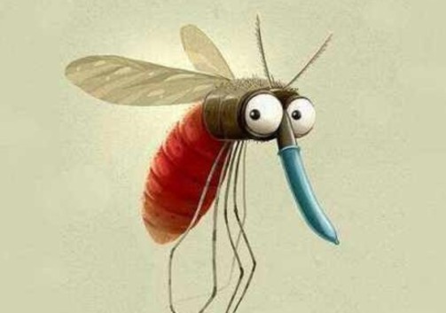 蚊子最怕的灭蚊法,夏天蚊子太烦人教驱蚊的绝招