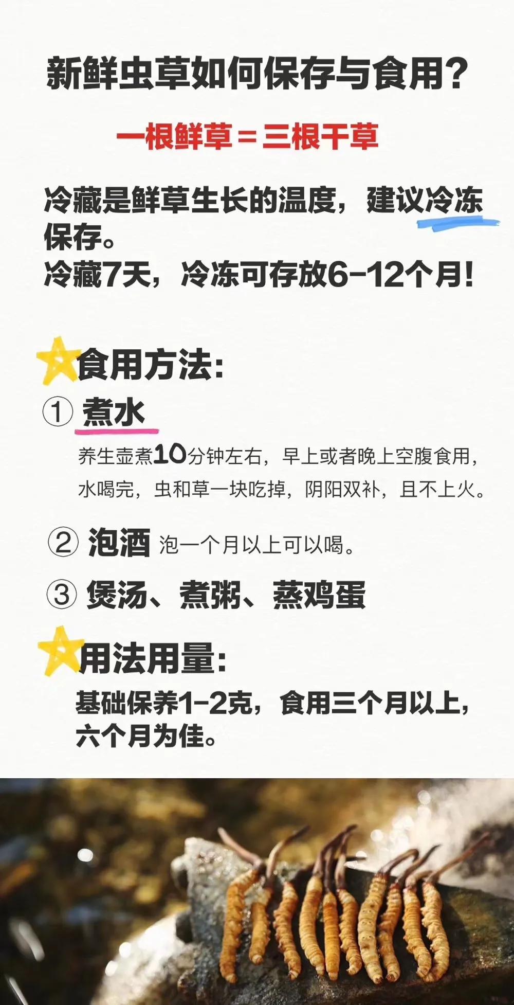 冬虫夏草鸡汤做法虫草放多少,孕妇虫草炖鸡汤一般放几根