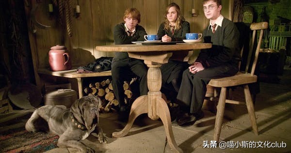 哈利波特电影中真实的动物演员,哈利波特里的动物演员