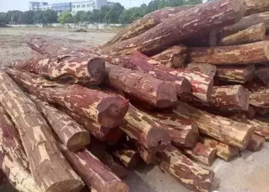 血檀市场,红木排名血檀