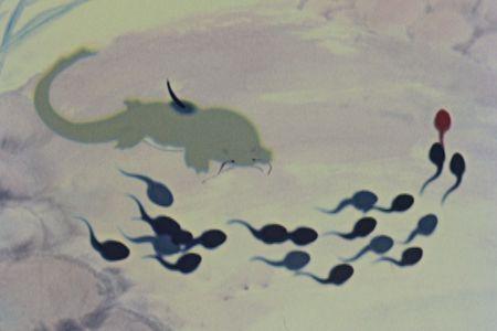 关于动漫的专业有哪些,动漫专业主要是什么