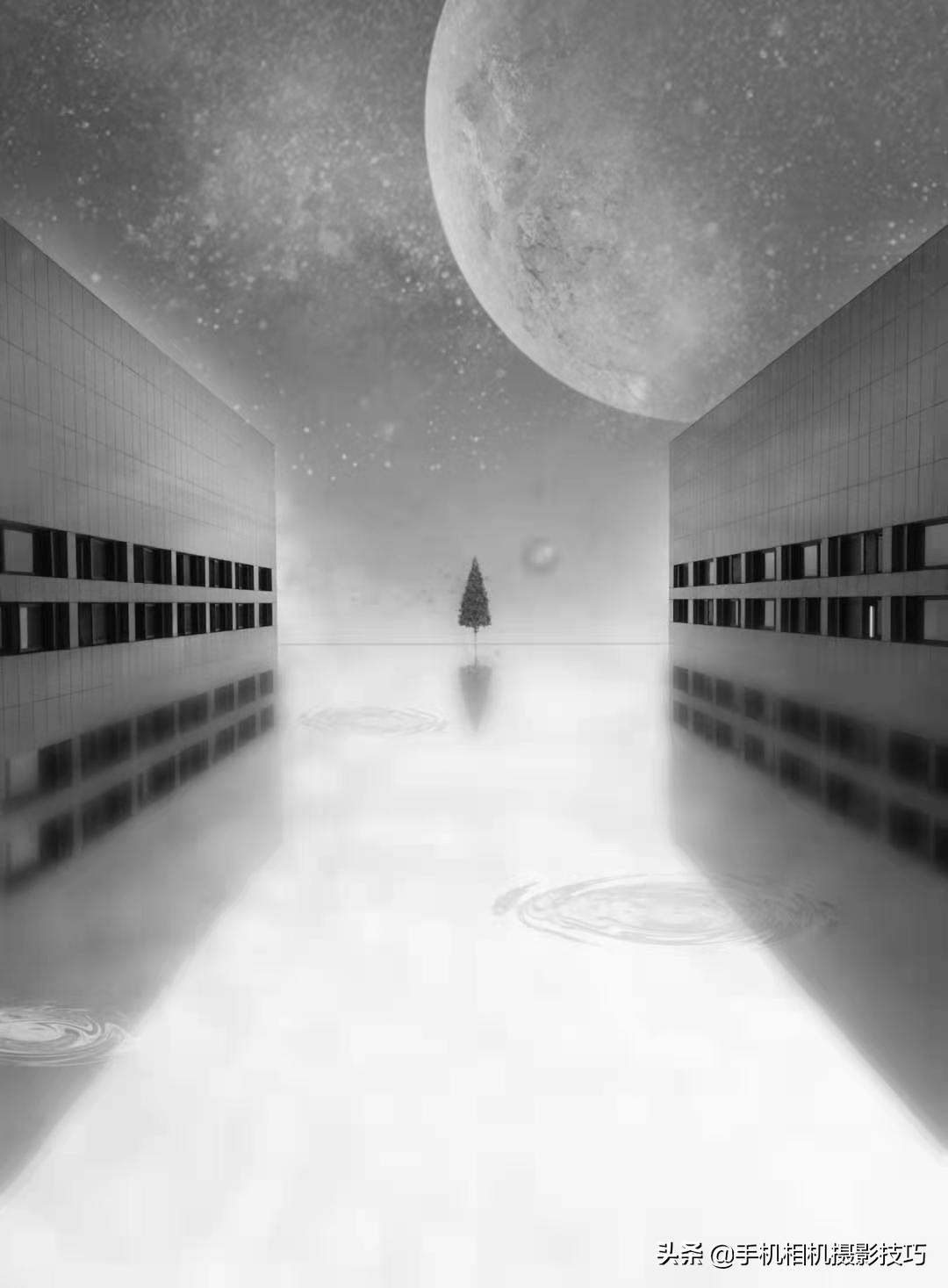 14组普通人拍出来的好照片,这才是普通人拍的照片平凡而珍贵