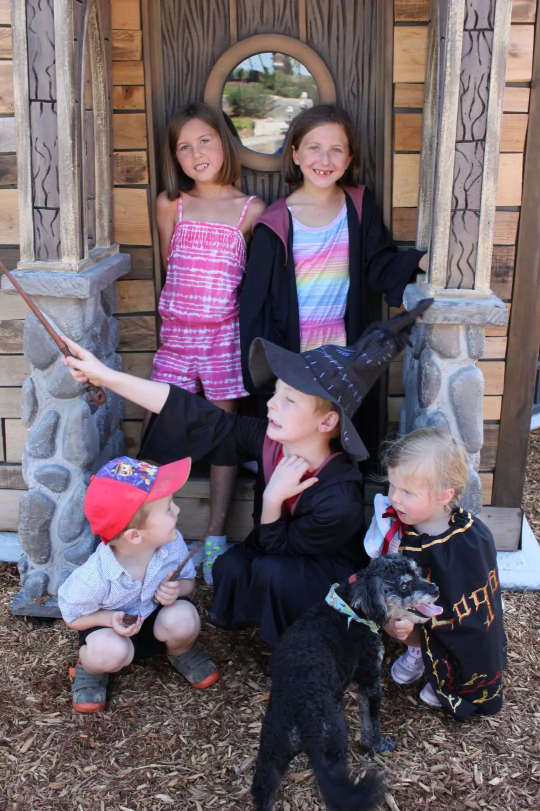 哈利波特价格不菲的纪念品,哈利波特最贵的魔法棒