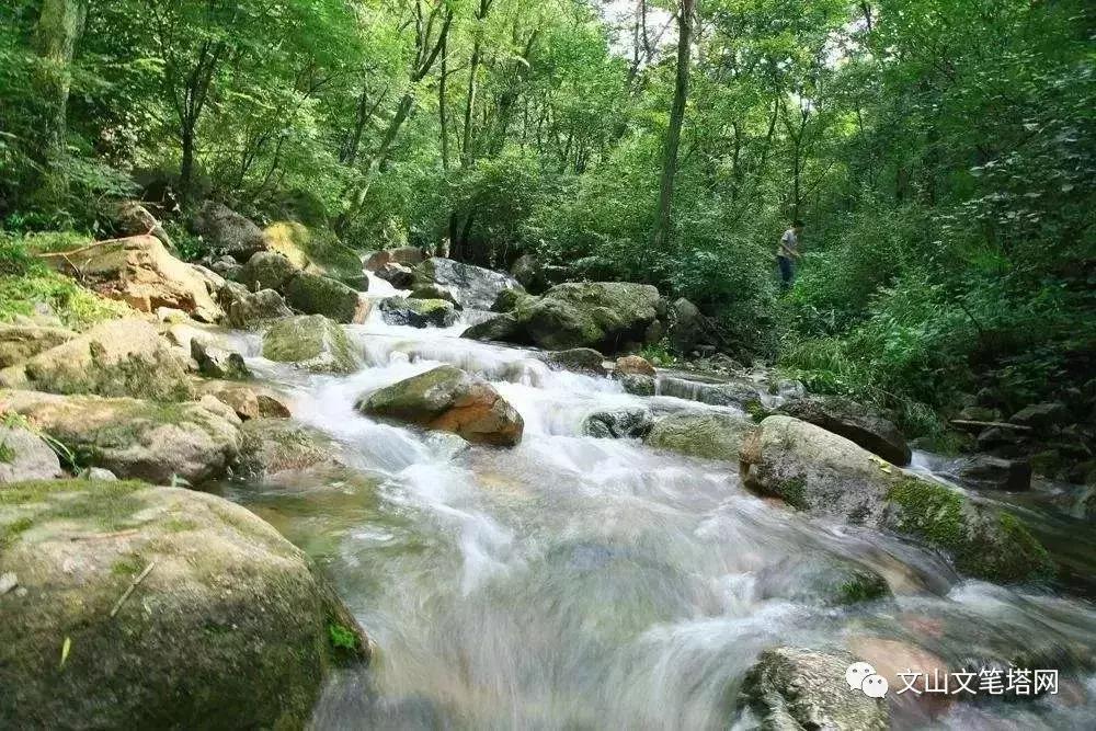 吓人!广南一男子气管内发现6厘米蚂蟥,文山人注意了……