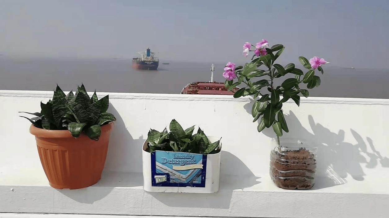 在海上确诊的中国水手:隔离期间写遗书,曾被三座海港拒收