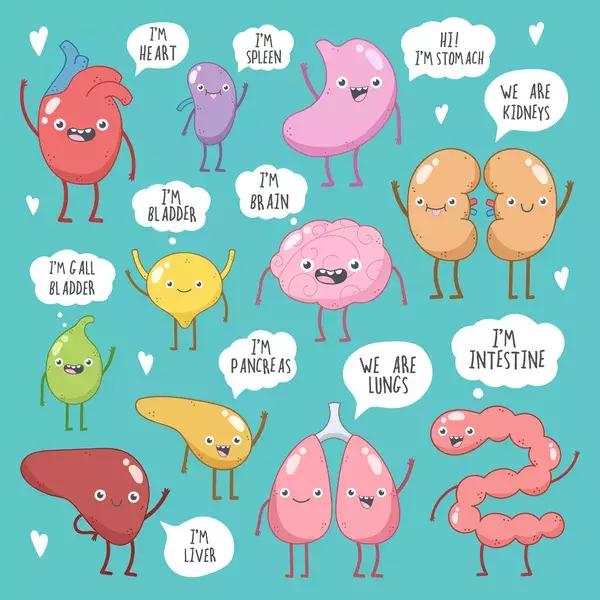 女明星祛湿排毒,女明星一天只吃一餐减肥