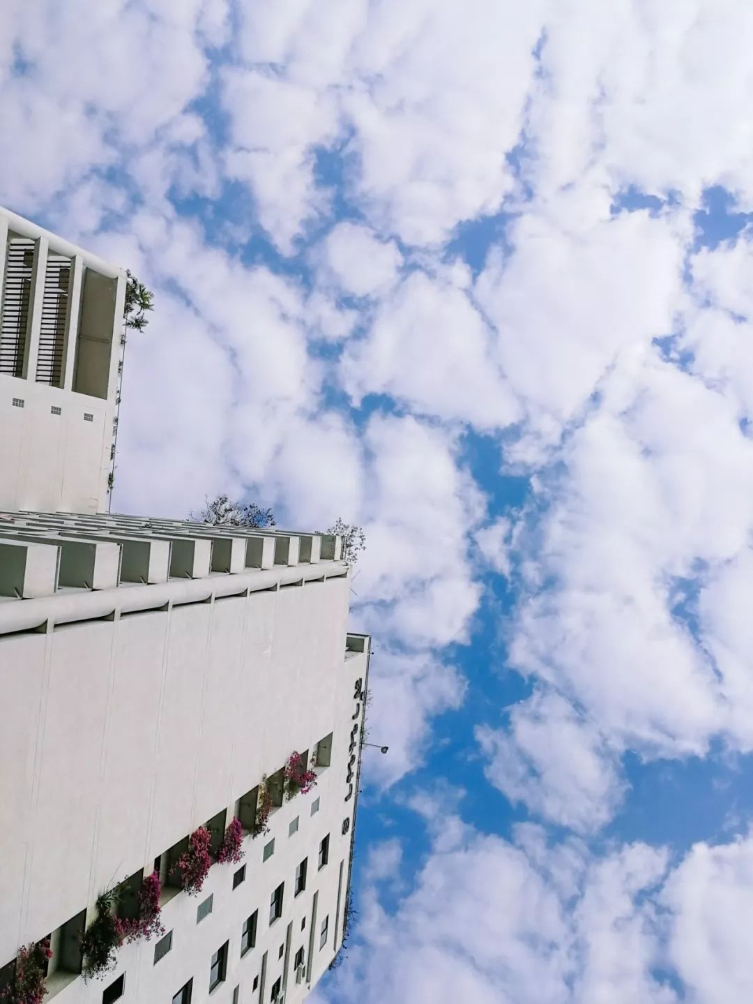 清迈的现状,清迈重逢