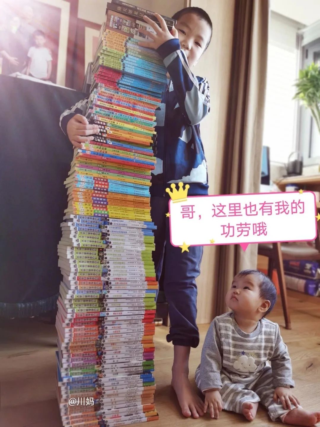 神奇树屋有几个版本,神奇树屋讲的什么