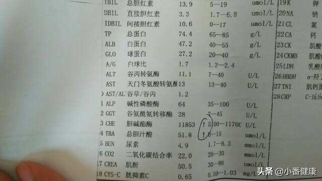 如何看血液报告单肝功能各项指标,肝功能各项指标正常会纤维化吗