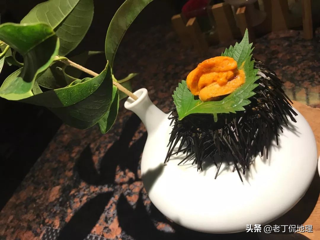 中国海鲜地图,中国海鲜最多地区