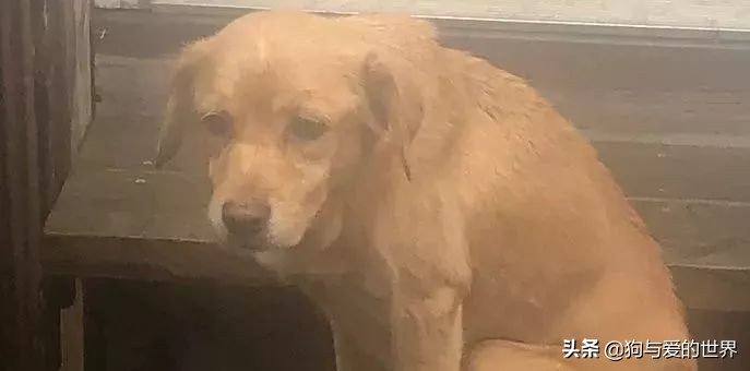 鏅氫笂瀹堕噷杩涗簡涓嶆槑鐢熺墿,鐢峰瓙鍗婂鍥炲閬囦笂涓嶆槑鐢熺墿