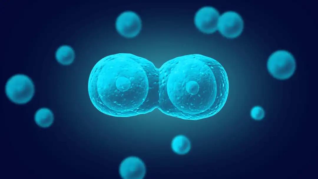 治愈一型糖尿病新进展,治疗1型糖尿病的新药