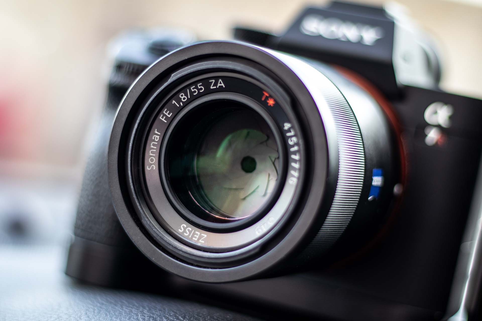 Sonnar（索纳）眼中的猫——索尼SonnarT*FE55mmF1.8ZA实拍体验