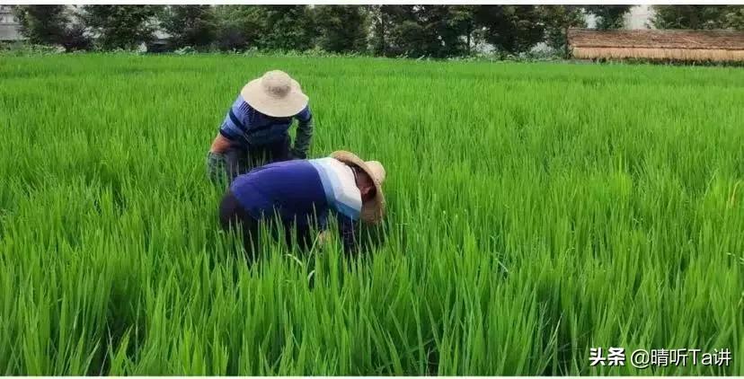 疫情不严重了口罩还能卖吗,疫情发生后我应该怎么办