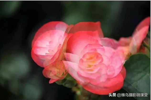 燃爆朋友圈的多重曝光？为什么我感觉这么诡异？