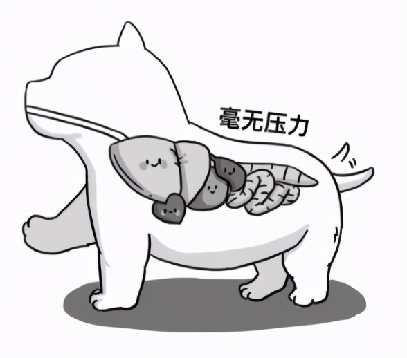 什么是痔疮？胡适有话说