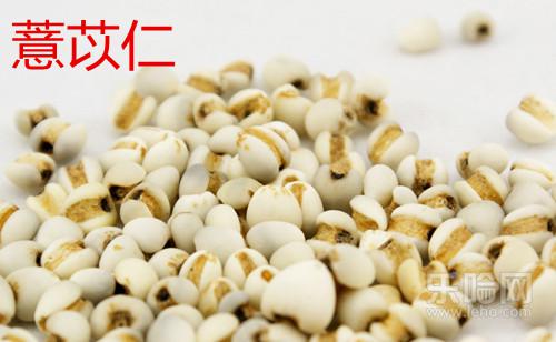 孕妇需慎用的中药,孕妇禁用和慎用的中药一览表